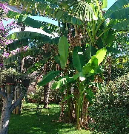 Paradise *