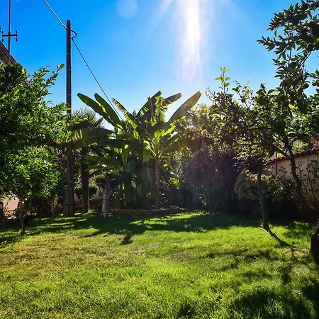 Paradise زادار