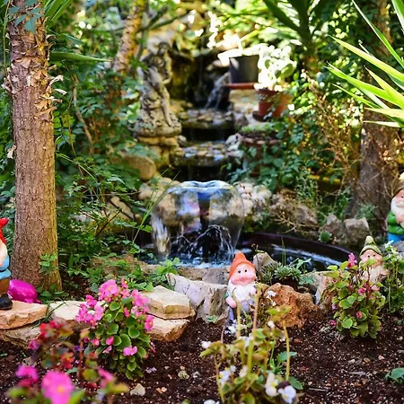 Paradise