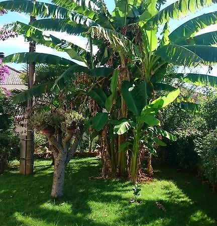 Paradise Apartament *